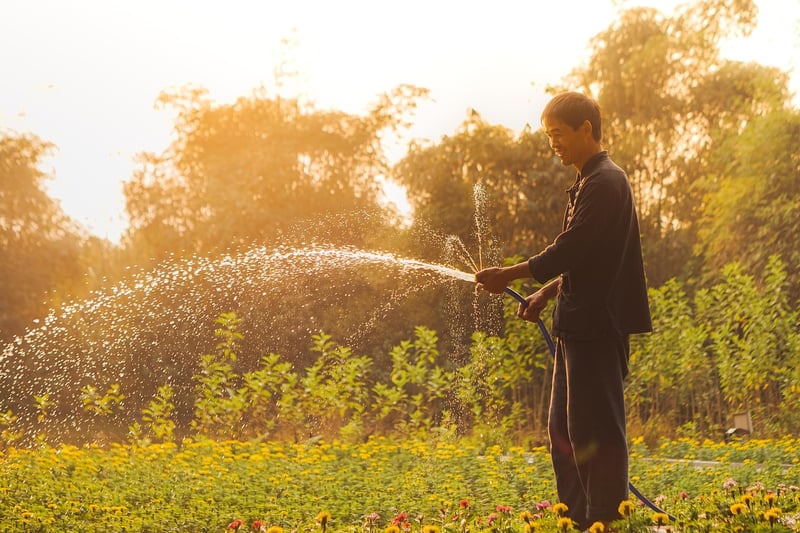 Watering plants